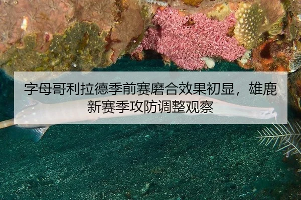 zi-mu-ge-li-la-de-ji-qian-sai-mo-he-xiao-guo-chu-xian-xiong-lu-xin-sai-ji-gong-fang-tiao-zheng-guan-cha-2-478.jpg