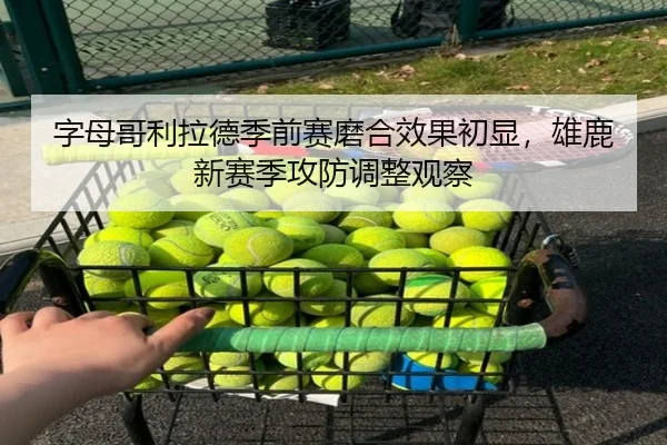字母哥利拉德季前赛磨合效果初显，雄鹿新赛季攻防调整观察