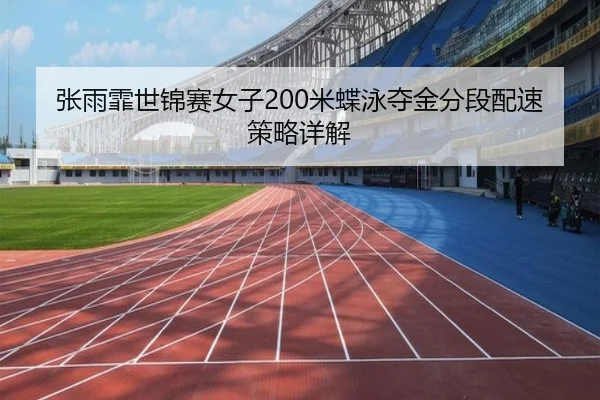 zhang-yu-fei-shi-jin-sai-nv-zi-mi-die-yong-duo-jin-fen-duan-pei-su-ce-lve-xiang-jie-2-300.jpg